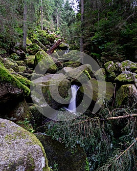 Vertical shot of a stream in the Triberg in the Black Forest, Baden-Wrttemberg, Germany