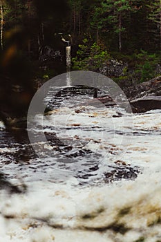 Vertical shot of a streamy foamy river flowing in a forest