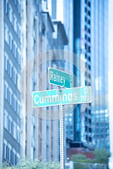 Vertical shot of the street signs "Rainey" and " Cummings" against blurry buildings background
