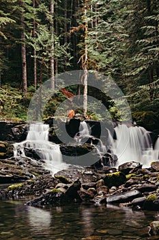 Vertical shot of a strong waterfall falling in the river in the middle of a forest