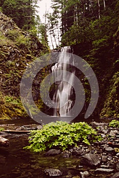 Vertical shot of a strong waterfall falling in the river in the middle of a forest