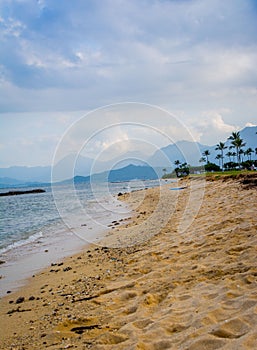 Vertical shot of a sunny sandy seashore in Oahu Island, Hawaii