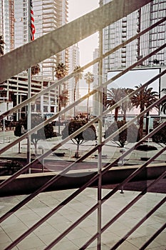 Vertical shot of a sunset over a plaza with palm trees from inside the Los Angeles convention center