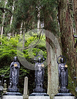 Vertical shot taken in Okunoin Koya, Japan