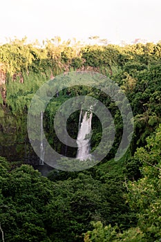 Vertical shot of Thoseghar waterfall surrounded by green vegetation. India.