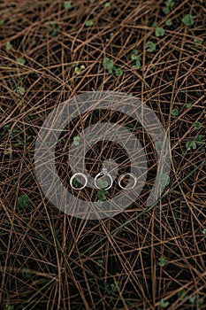 Vertical shot of three rings put on a surface of  small narrow wooden branches