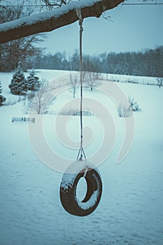 Vertical shot of a tire swing hanging on a tree covered with white snow during winter