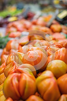 Vertical shot of tomate Valenciano, in the central market of Valencia, Spain photo