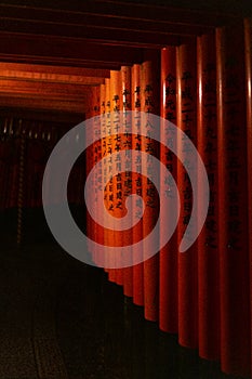 Vertical shot of the torii gates tunnel