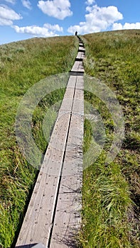 Vertical shot of a trail of wooden decks a green slope of a mountain
