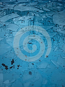 Vertical shot of tree reflection on sea ice