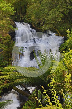 Vertical shot of the Triplet Falls in Wyelangta, Australia.