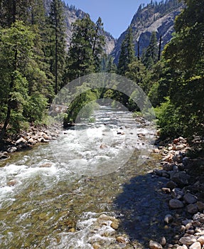 Vertical shot of the Tuolumne River in Yosemite National Park reveals a view of the mountains