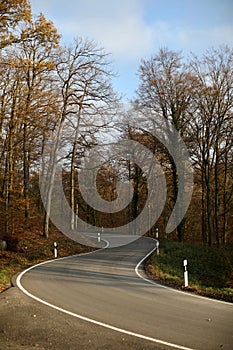 Vertical shot of a twisting road through bare forest trees in the fall