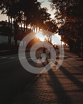 Vertical shot of two friends crossing a road at sunset with the sunlight peeking through trees