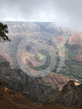 Vertical shot of Waimea Canyon (Grand Canyon of the Pacific) in Kauai, Hawaii