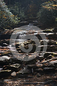 Vertical shot of a water cascade falling on rocks with bushes and trees in the background.