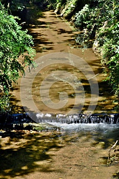 Vertical shot of a water cascade between gree shrubs on a sunny day