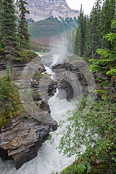 Vertical shot of water with a strong stream flowing surrounded by cliffs and vegetation