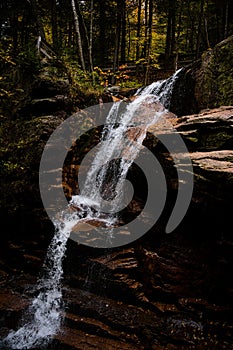 Vertical shot of a waterfall in a cave in a forest