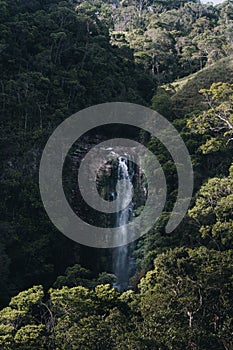 Vertical shot of a waterfall flowing through the rocks surrounded by dense forest