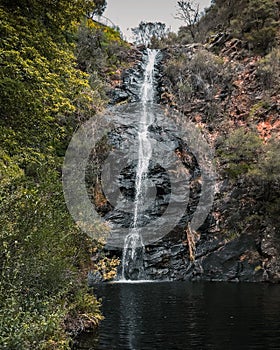 Vertical shot of the Waterfall Gully in Cleland National Park, Adelaide, Australia