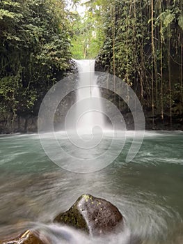 Vertical shot of a waterfall with silky water effect surrounded by vegetation