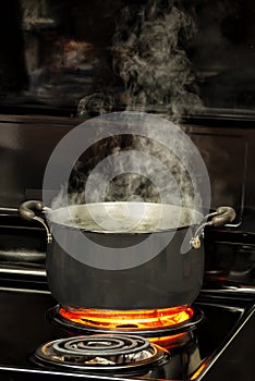 Water Boiling in Stovetop Pot Vertical