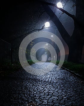 Vertical shot of wet cobblestone road by the park illuminated by lanterns at night