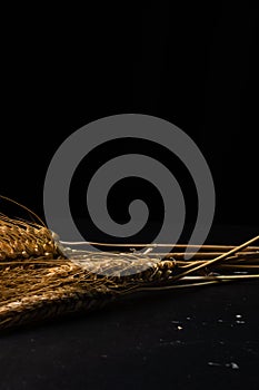 Vertical shot of the wheat ears on the black background - cereals for bakery, flour production