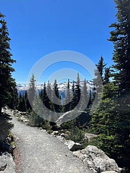 Vertical shot of the Whistler Blackcomb mountains