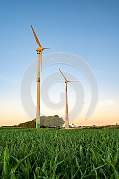 Vertical shot of wind turbines in green grass field