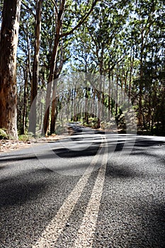 Vertical shot of a winding road in Karri Vally, Western Australia