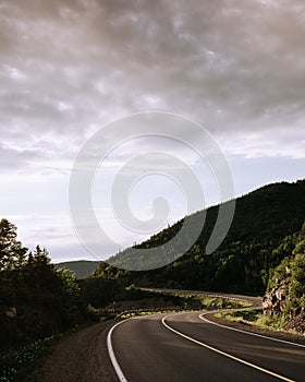 Vertical shot of a winding road passing through a montane forest under a cloudy sky
