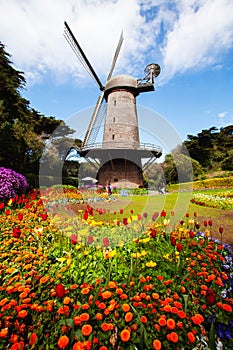 Vertical shot of the Windmill in Golden Gate Park, San Franciso, with colorful flowers in front