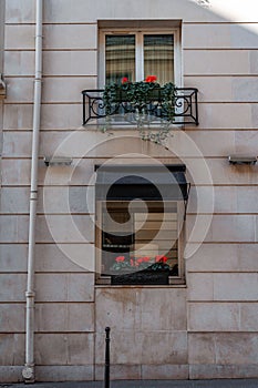 Vertical shot of windowsills decorated with plants in Paris, France photo