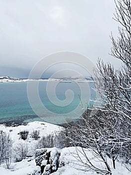 Vertical shot of the winter in the Arctic region, Hillesoy, Kvaloya Island, Tromso, Norway