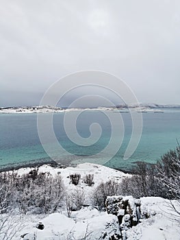 Vertical shot of the winter in the Arctic region, Hillesoy, Kvaloya Island, Tromso, Norway