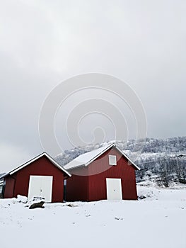 Vertical shot of the winter in the Arctic region in Hillesoy, Kvaloya Island, Tromso, Norway