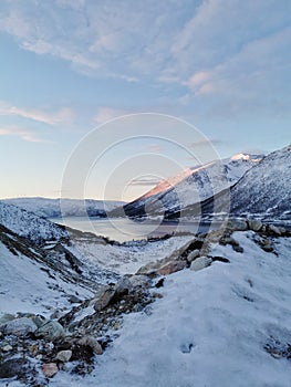 Vertical shot of the winter in the Arctic region, Kvaloya Island, Tromso, Norway