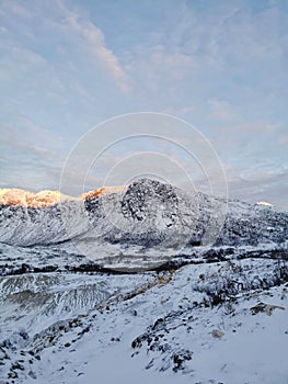Vertical shot of the winter in the Arctic region, Kvaloya Island, Tromso, Norway