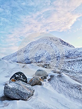 Vertical shot of the winter in the Arctic region, Kvaloya Island, Tromso, Norway