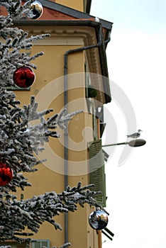 Vertical shot of winter Christmas tree with a building background in Nizza France photo
