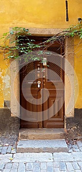 Vertical shot of a wooden door in an old house in Stockholm, Sweden