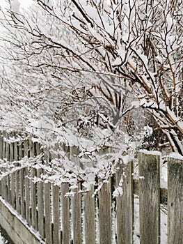 Vertical shot of a wooden fence in Larvik, Norway in winter