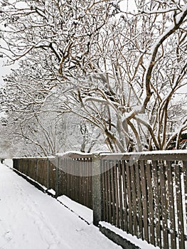 Vertical shot of a wooden fence in Larvik, Norway in winter