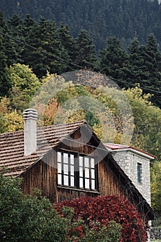 Vertical shot of a wooden house near a mountain forest in Elati Trikalon, Greece