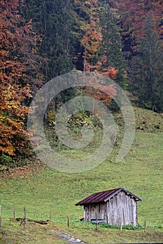 Vertical shot of a wooden hut and autumnal forest near Oberstdorf, Allgaeu