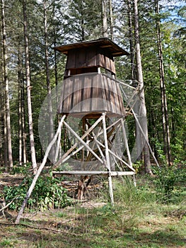 Vertical shot of the wooden lookout tower for hunting in the forest with trees in the background