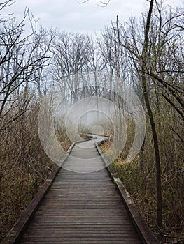 Vertical shot of a wooden pathway bridge surrounded with fog in the forest